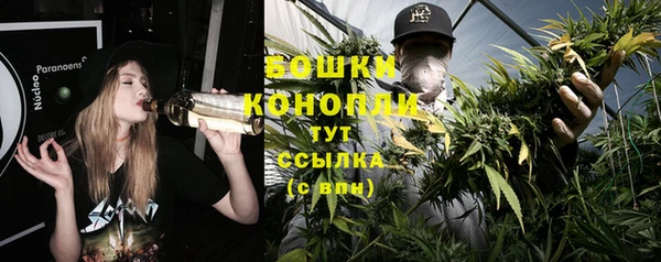шишки Семикаракорск