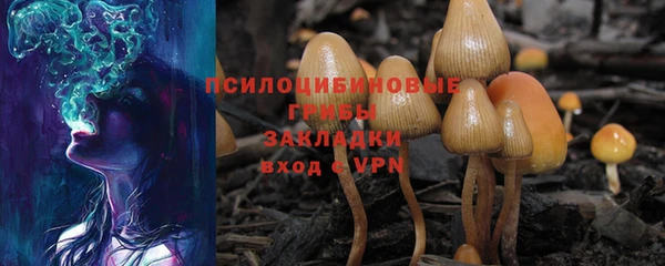 шишки Семикаракорск